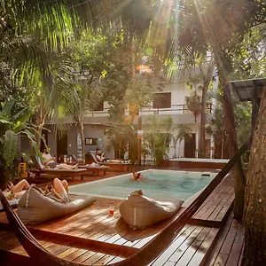  Hostal Che & Bar Adults Only México